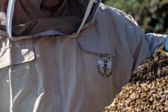 "Focused on the Frame"Observing the hive up close, this beekeeper carefully inspects the bees’ work, gaining insight into their world.